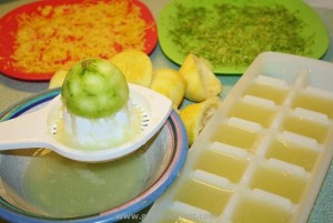 LimesLemons6-300x201.jpg